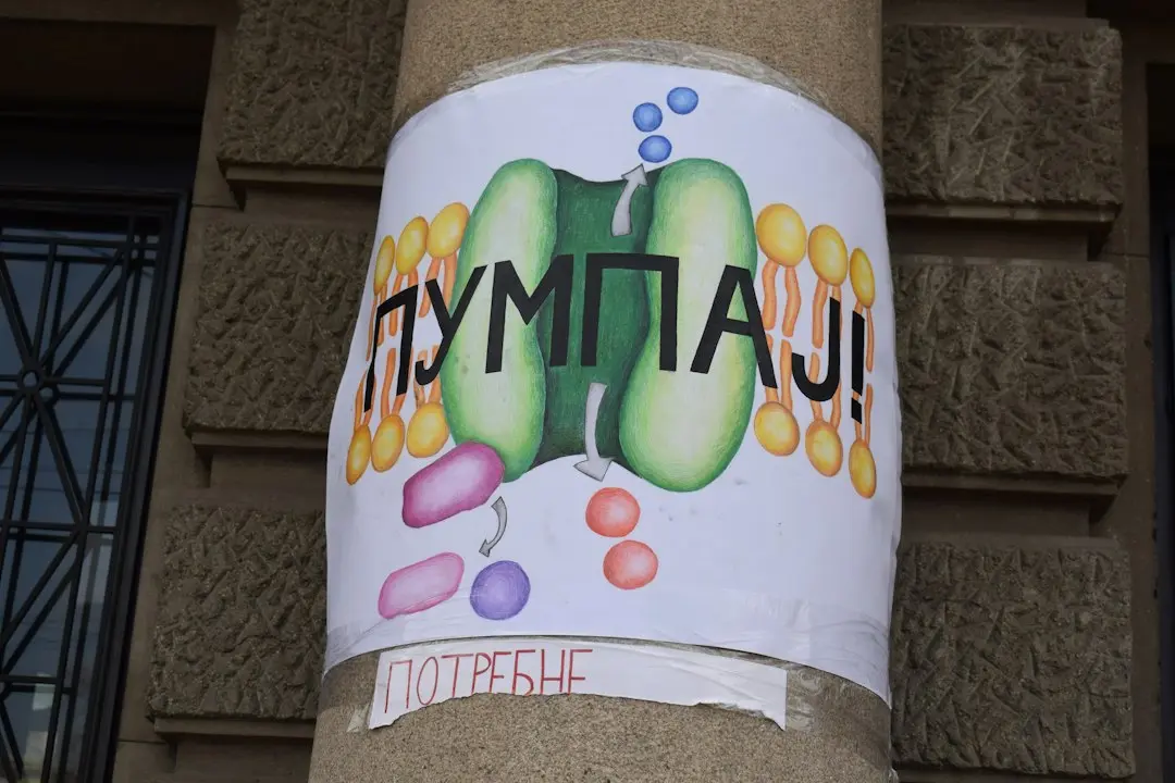 Poveștile terifiante care au dat viață groazei moderne