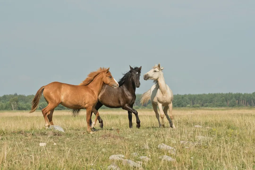 Slow Horses: Rumorile despre rolul lui Bond schimbă totul